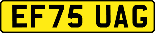 EF75UAG