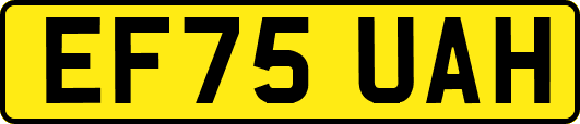 EF75UAH