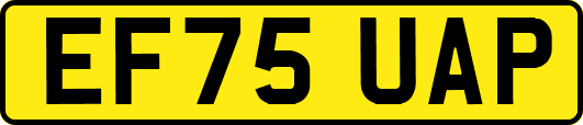 EF75UAP