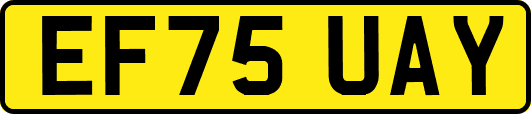 EF75UAY