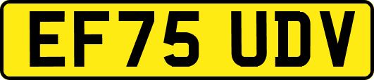 EF75UDV