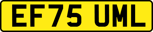 EF75UML