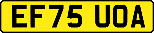 EF75UOA