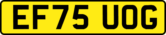 EF75UOG