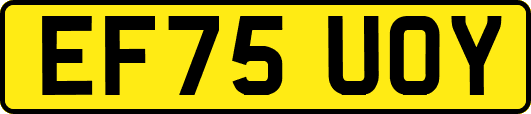 EF75UOY