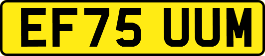 EF75UUM