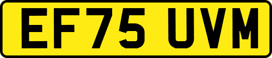 EF75UVM