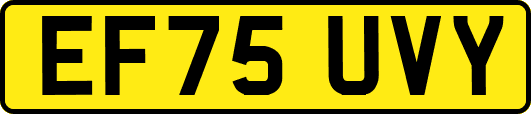 EF75UVY
