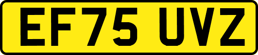 EF75UVZ