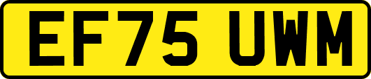 EF75UWM