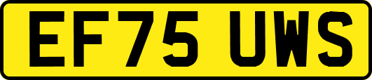 EF75UWS