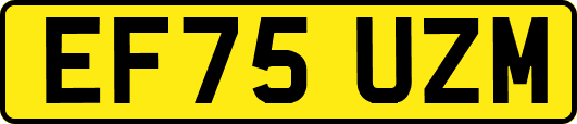 EF75UZM