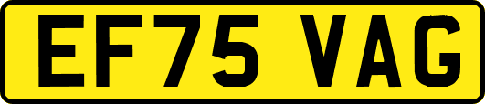 EF75VAG
