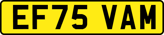 EF75VAM
