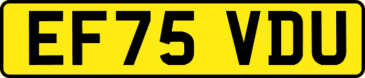 EF75VDU