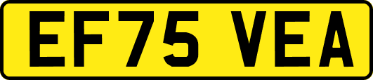 EF75VEA