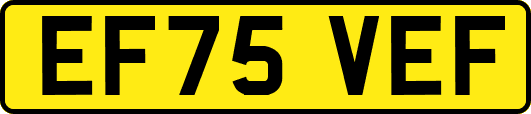 EF75VEF