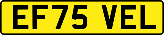 EF75VEL