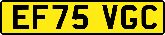 EF75VGC