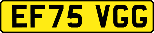 EF75VGG