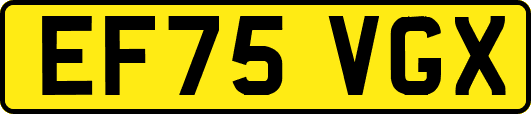 EF75VGX