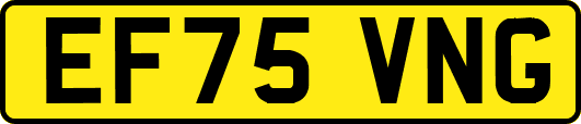 EF75VNG