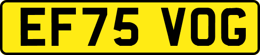 EF75VOG