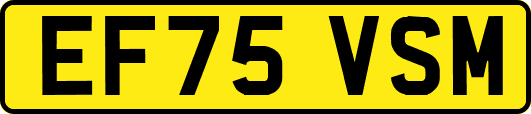 EF75VSM