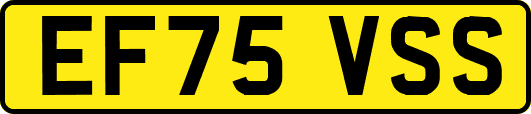 EF75VSS