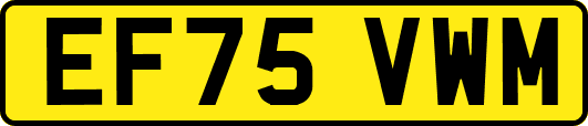 EF75VWM