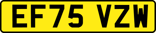 EF75VZW