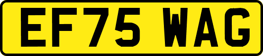 EF75WAG