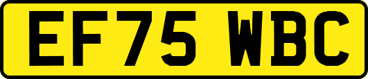 EF75WBC