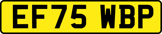 EF75WBP