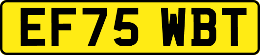 EF75WBT