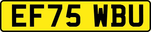 EF75WBU