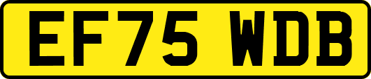 EF75WDB