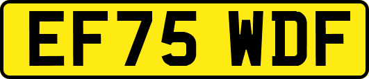 EF75WDF