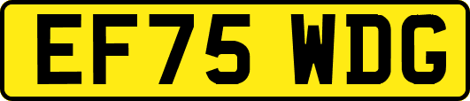 EF75WDG