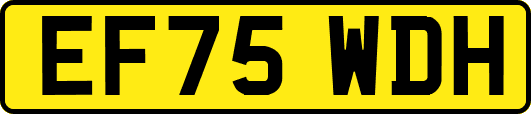EF75WDH