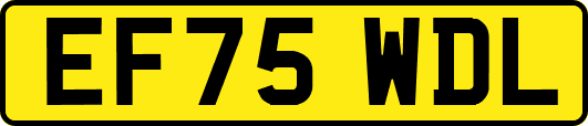 EF75WDL