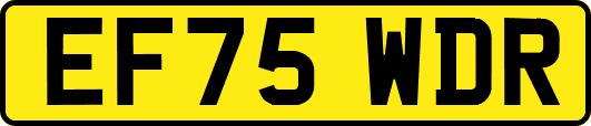 EF75WDR