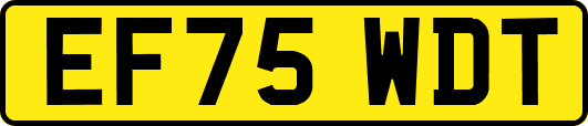 EF75WDT