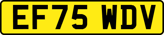 EF75WDV