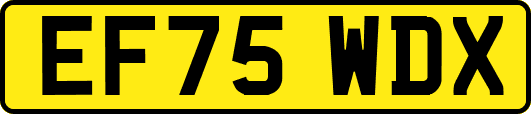 EF75WDX