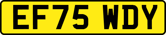 EF75WDY