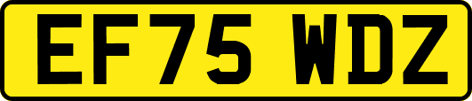EF75WDZ