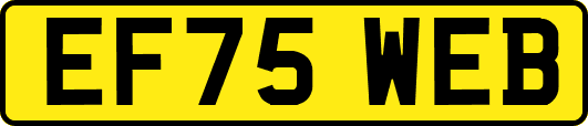 EF75WEB