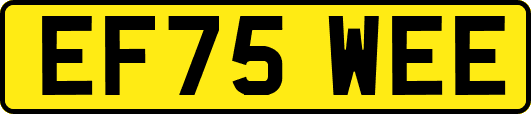EF75WEE