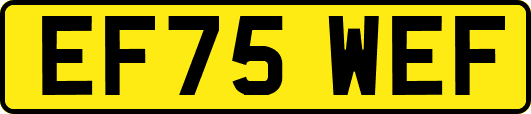 EF75WEF